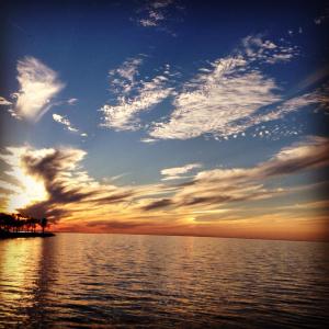 1982210_10203612663261325_1171423907_n